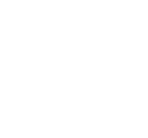 X (Twitter)